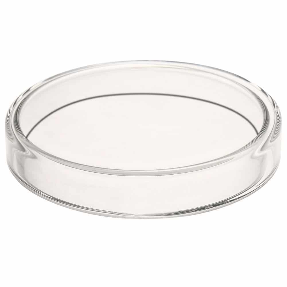 Glass Petri Dishes* - Image 2